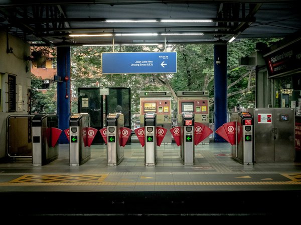 Parc zoologique de Beauval : un engagement pour la conservation