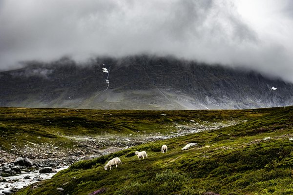Les termes à connaître pour une dégustation de vin réussie