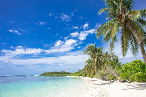 Visite virtuelle des Châteaux de la Loire