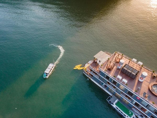 Les ateliers de dégustation de vin : un incontournable pour les amateurs